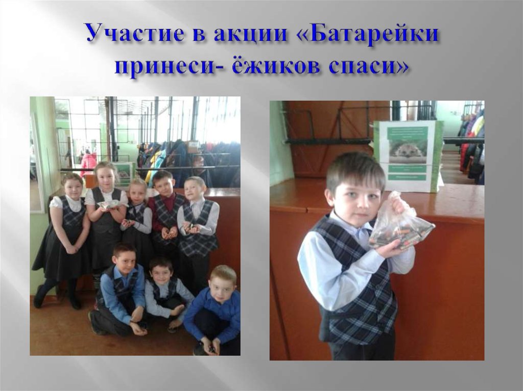 Участие в акции «Батарейки принеси- ёжиков спаси»
