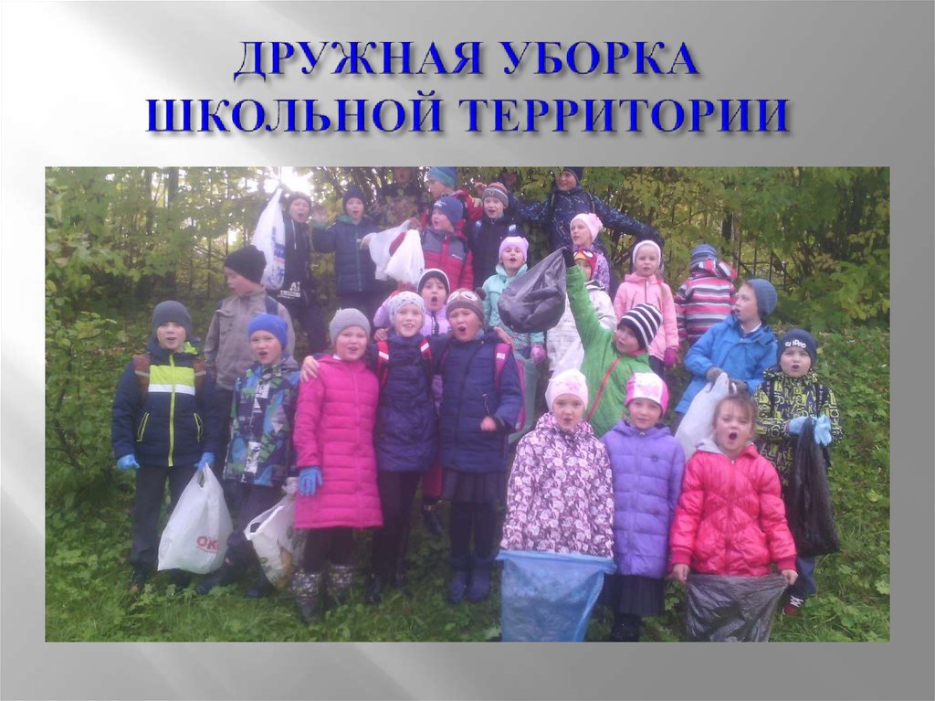 ДРУЖНАЯ УБОРКА ШКОЛЬНОЙ ТЕРРИТОРИИ