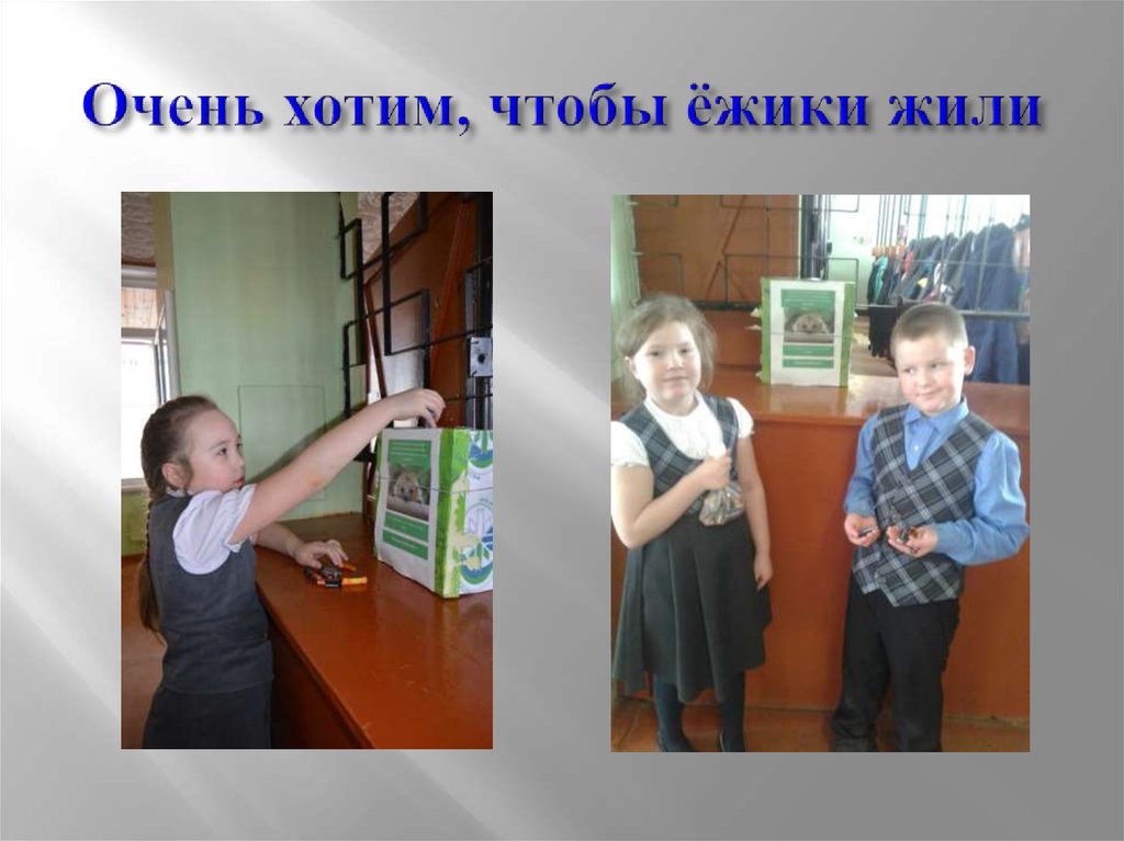 Очень хотим, чтобы ёжики жили