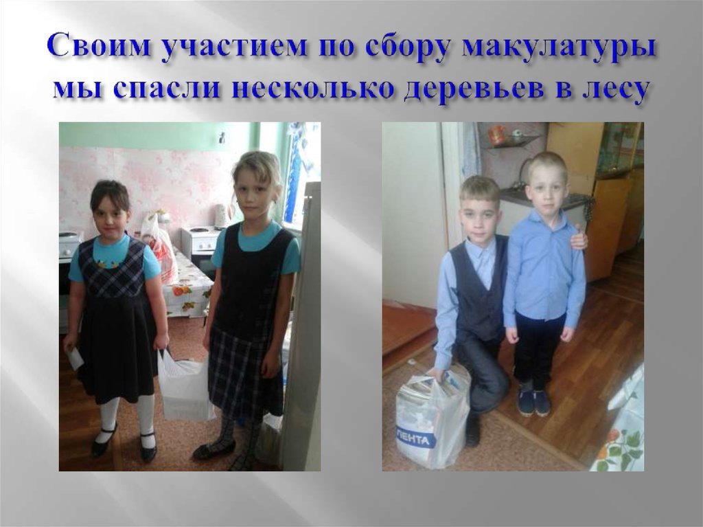 Своим участием по сбору макулатуры мы спасли несколько деревьев в лесу