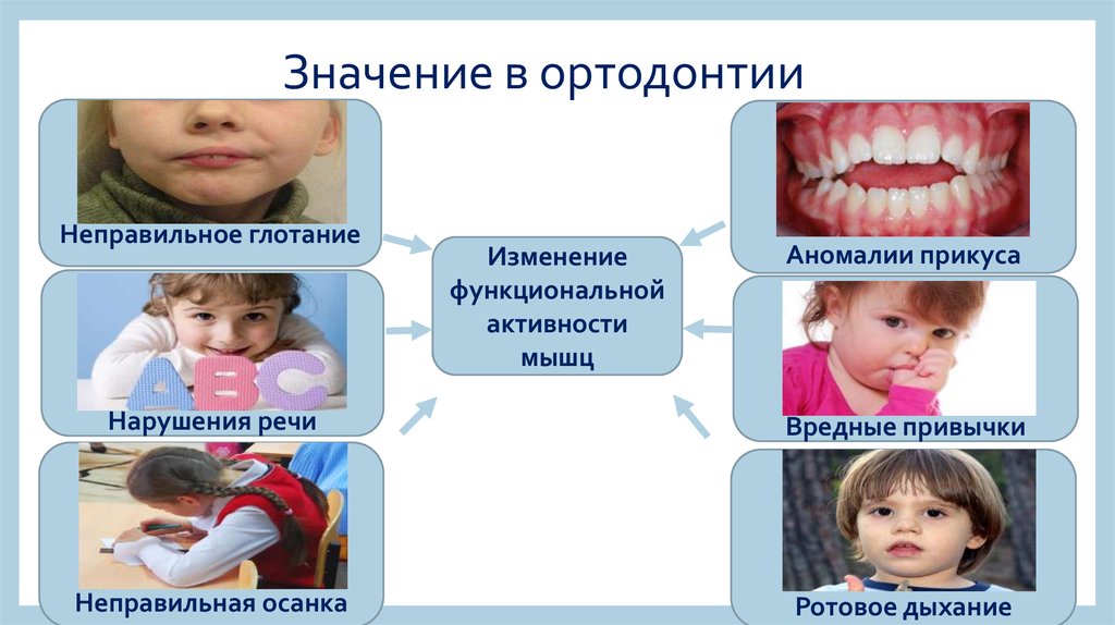 Функциональные методы диагностики в ортодонтии презентация