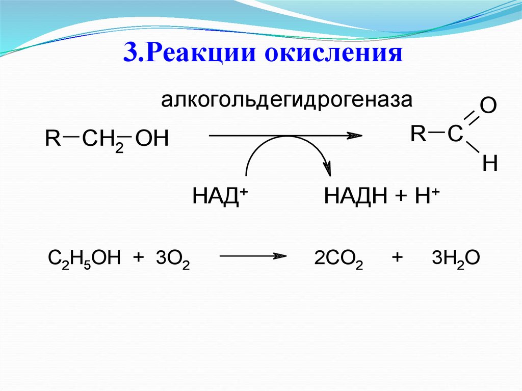 Реакция окисления происходит при. Реакция окисления спиртов. 3 Реакции окисления. Окисление НАДН реакция. Схема реакции окисления.