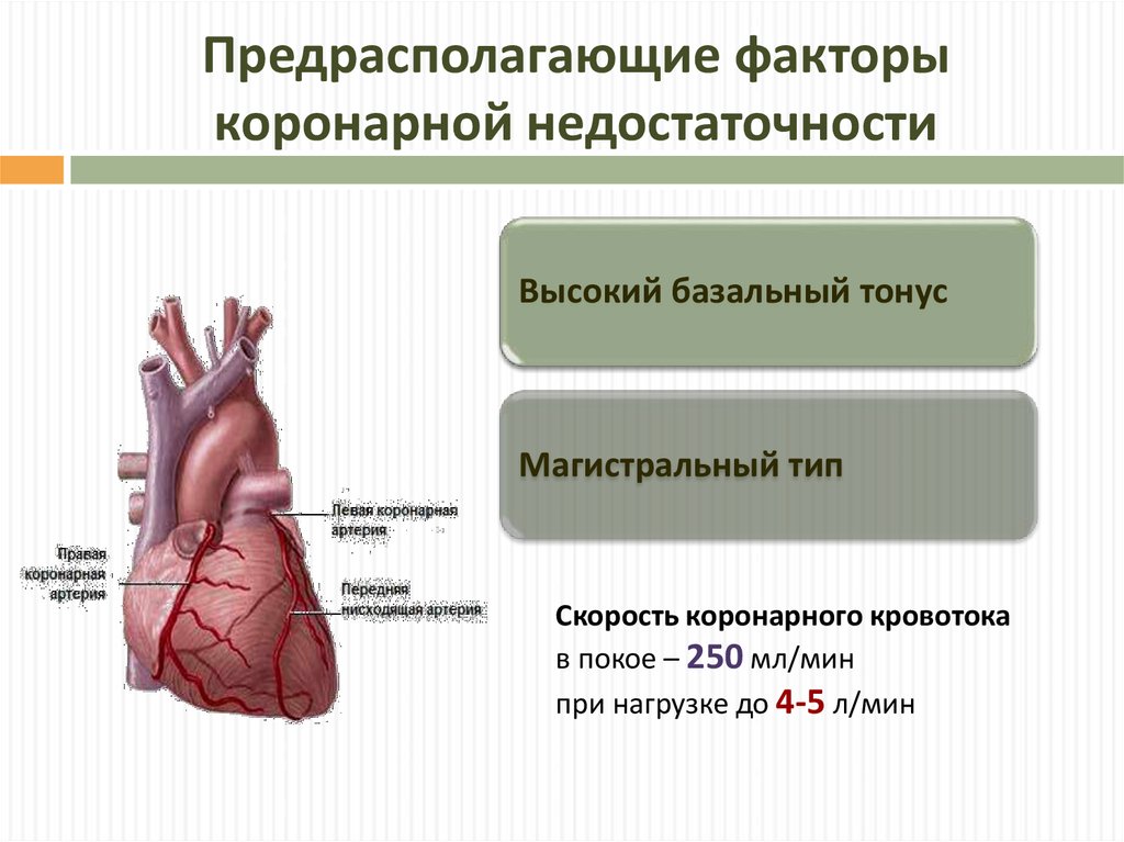 Коронарная недостаточность презентация