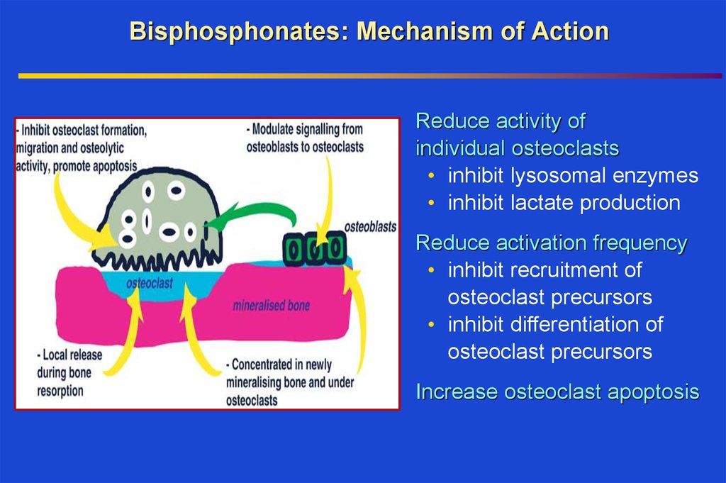 doxazosin mechanism of action mims