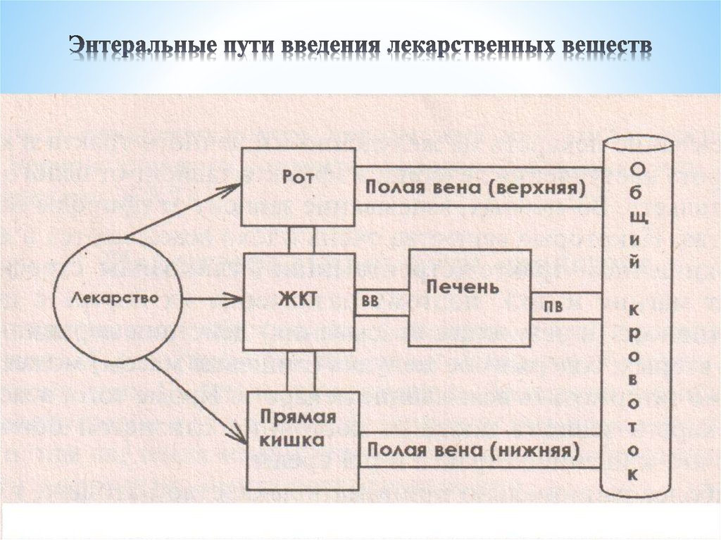 Схема введение лекарственного средства на слизистые