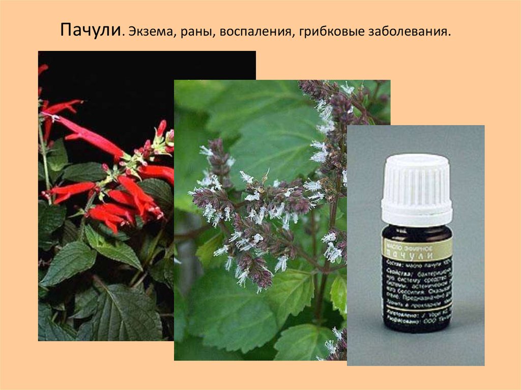 Ароматерапия - презентация онлайн