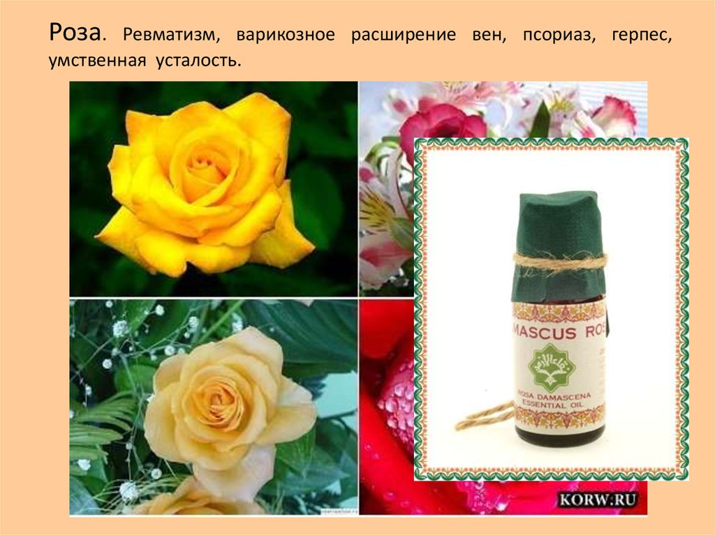 Ароматерапия - презентация онлайн