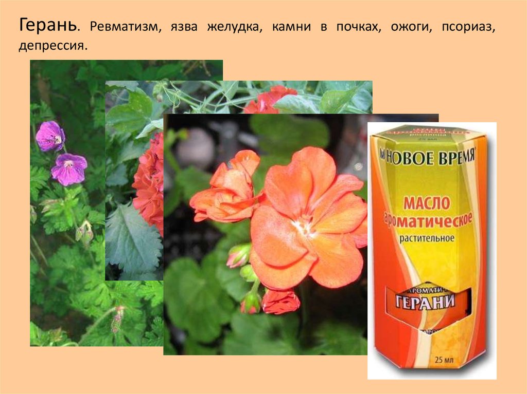 Ароматерапия - презентация онлайн