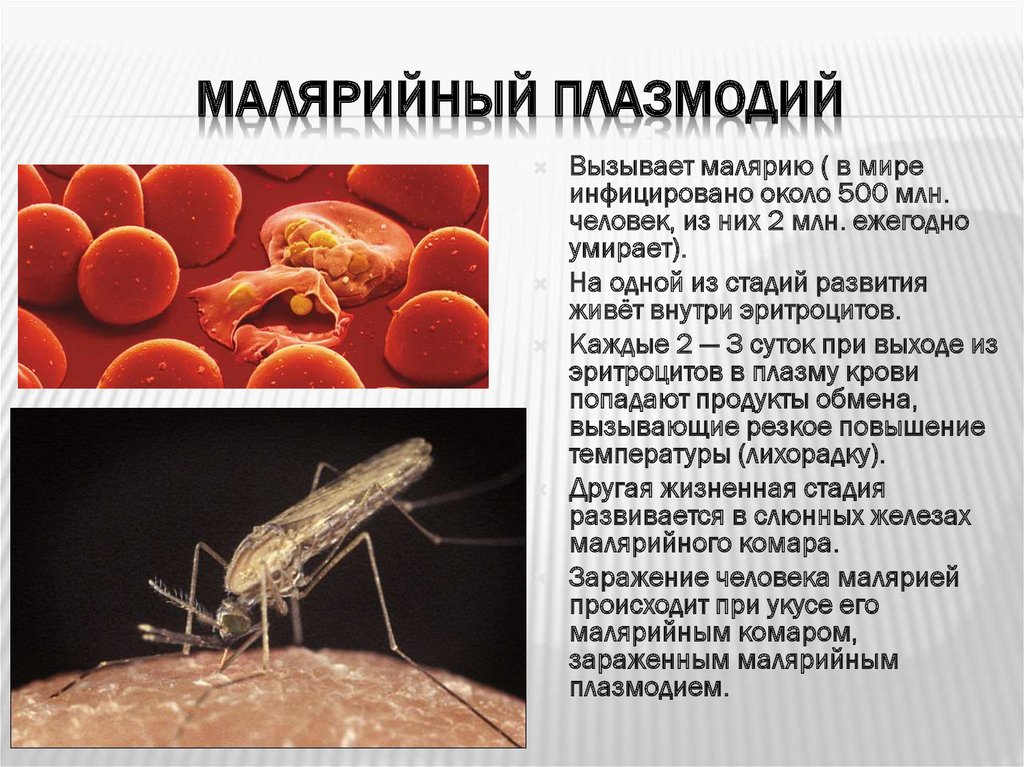 Тяжелое течение малярии ассоциируется