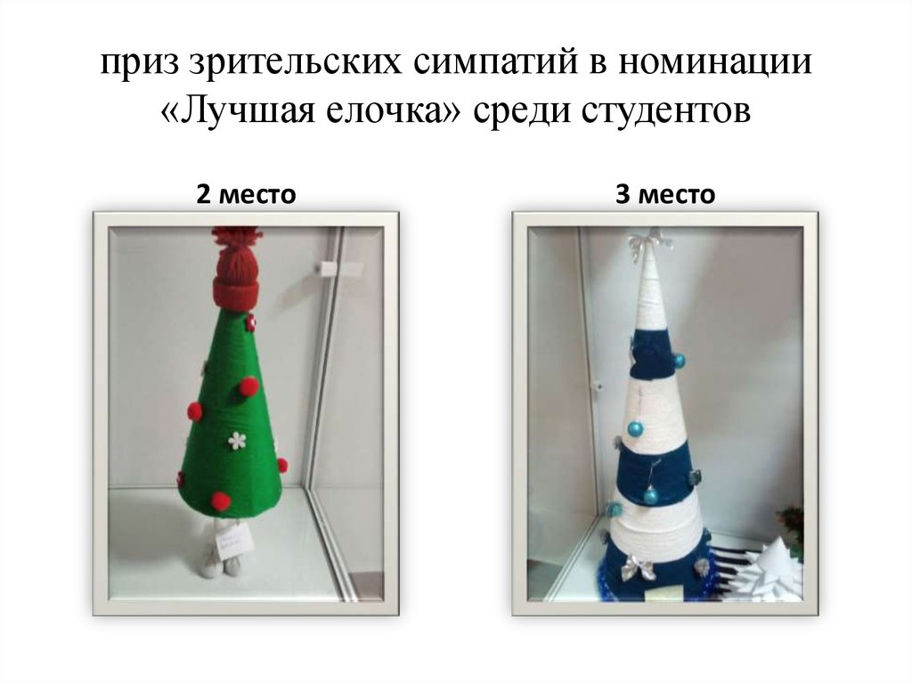 приз зрительских симпатий в номинации «Лучшая елочка» среди студентов