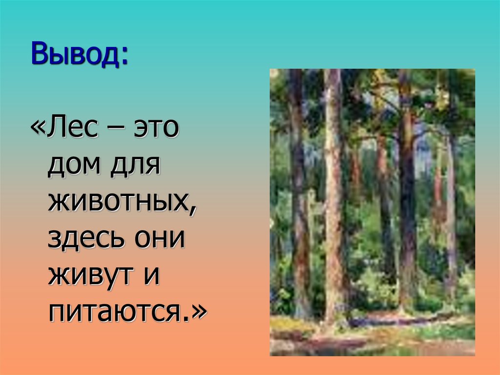 Лес класс. Природное сообщество лес презентация. Вывод про лес. Вывод животные леса. Заключение о лесе.