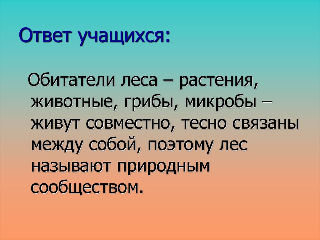 Почему лес называют сообществом окружающий мир