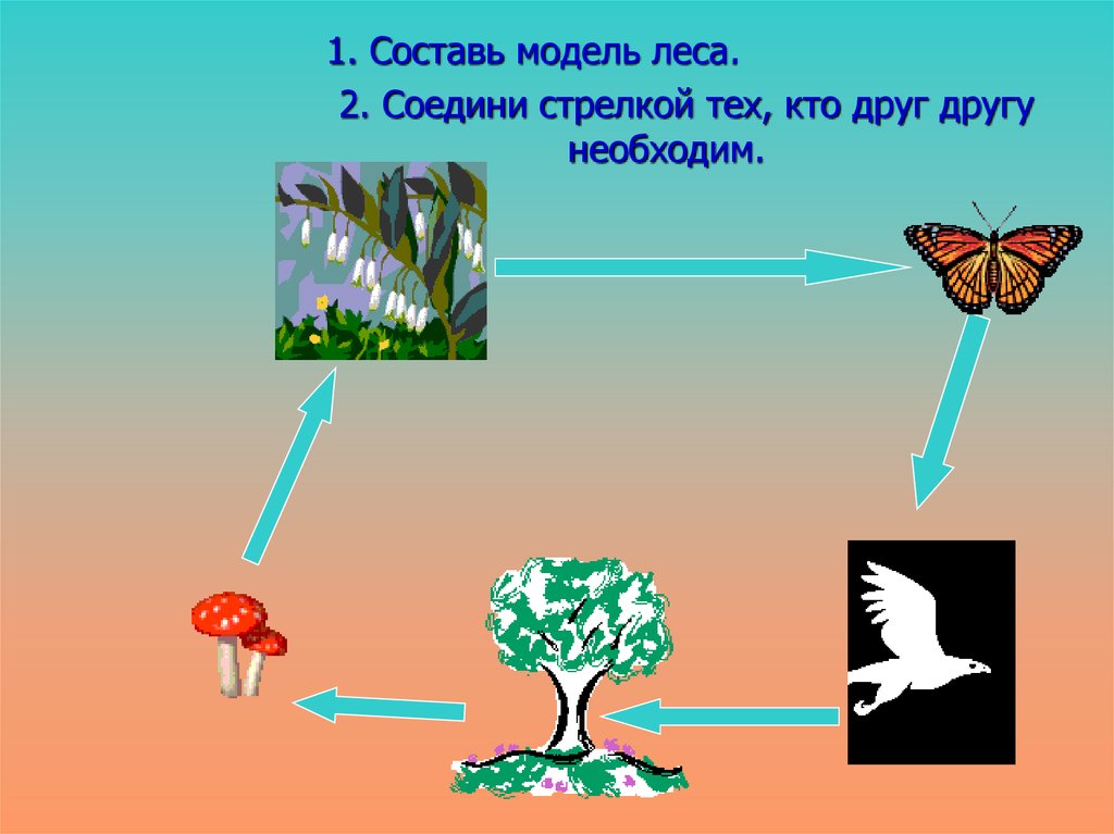 Природное сообщество лес 5 класс биология. Модель природного сообщества лес. Природное сообщество леса. Модель сообщества лес. Природное сообщество леса картинки.