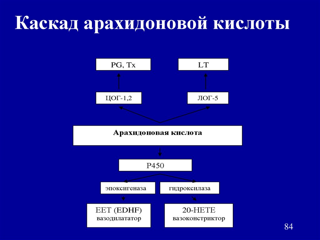 Схема арахидоновой кислоты