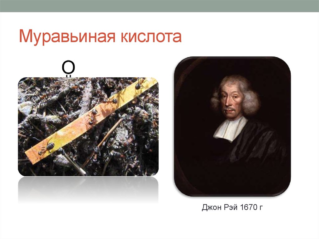 Муравьиная кислота