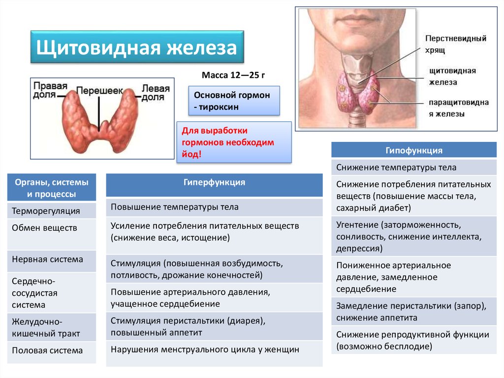 Желез или желез