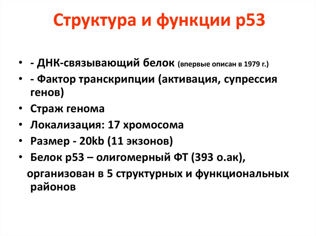 Ps функции. Белок р53, его строение и функции.. Транскрипционный фактор р53. Функции р53. Доменная структура Гена р53.