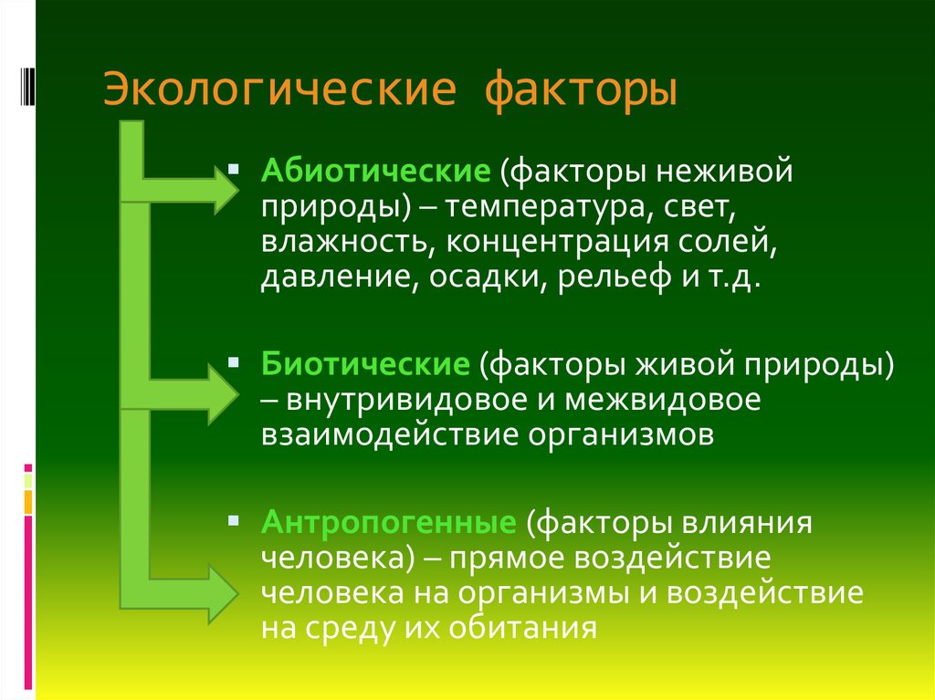 Экологические факторы ответ. Абиотические факторы живой природы. Экологические факторы факторы неживой природы факторы живой природы. Абиотические экологические факторы. Абиотический фактор это в экологии.