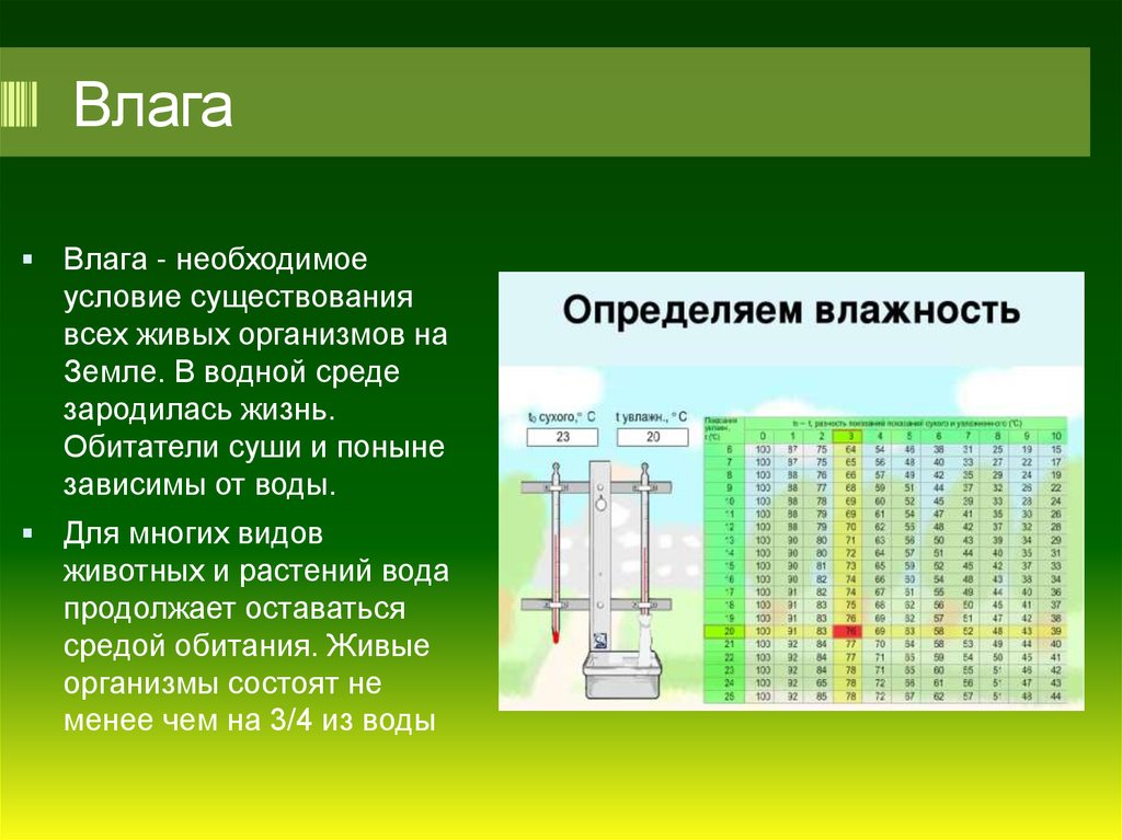 Определяющий фактор влажности