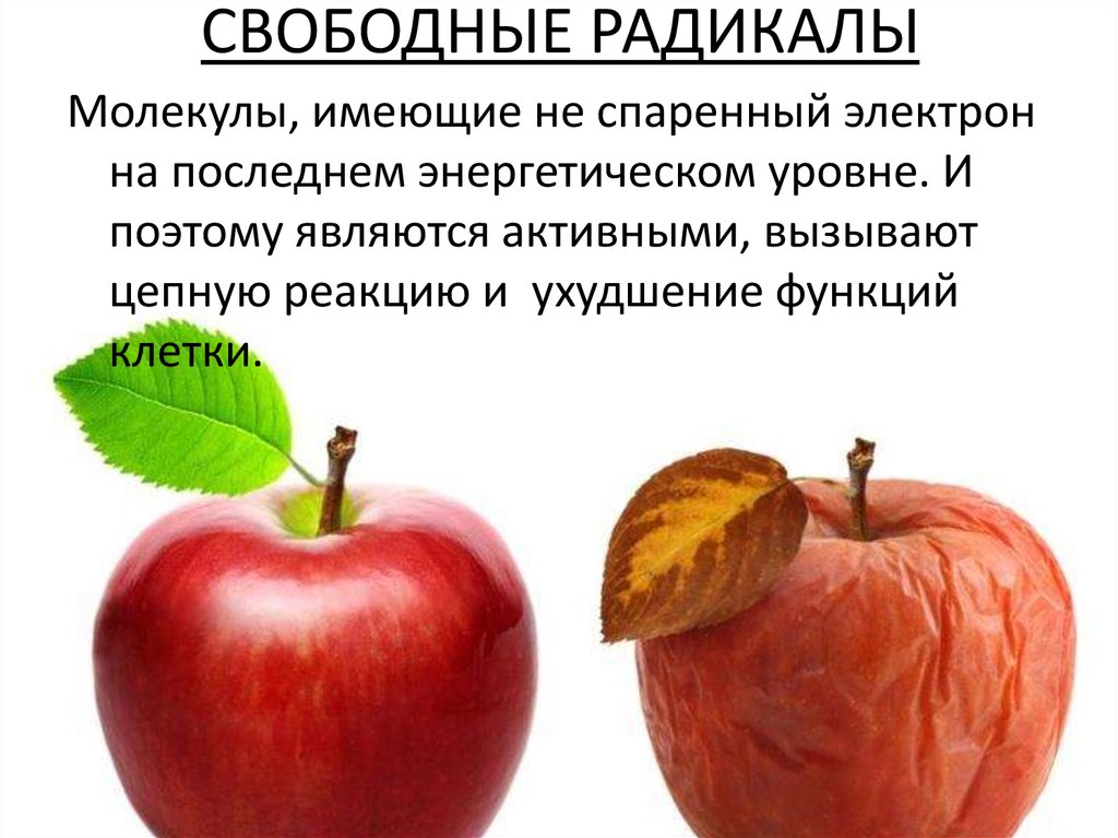 СВОБОДНЫЕ РАДИКАЛЫ