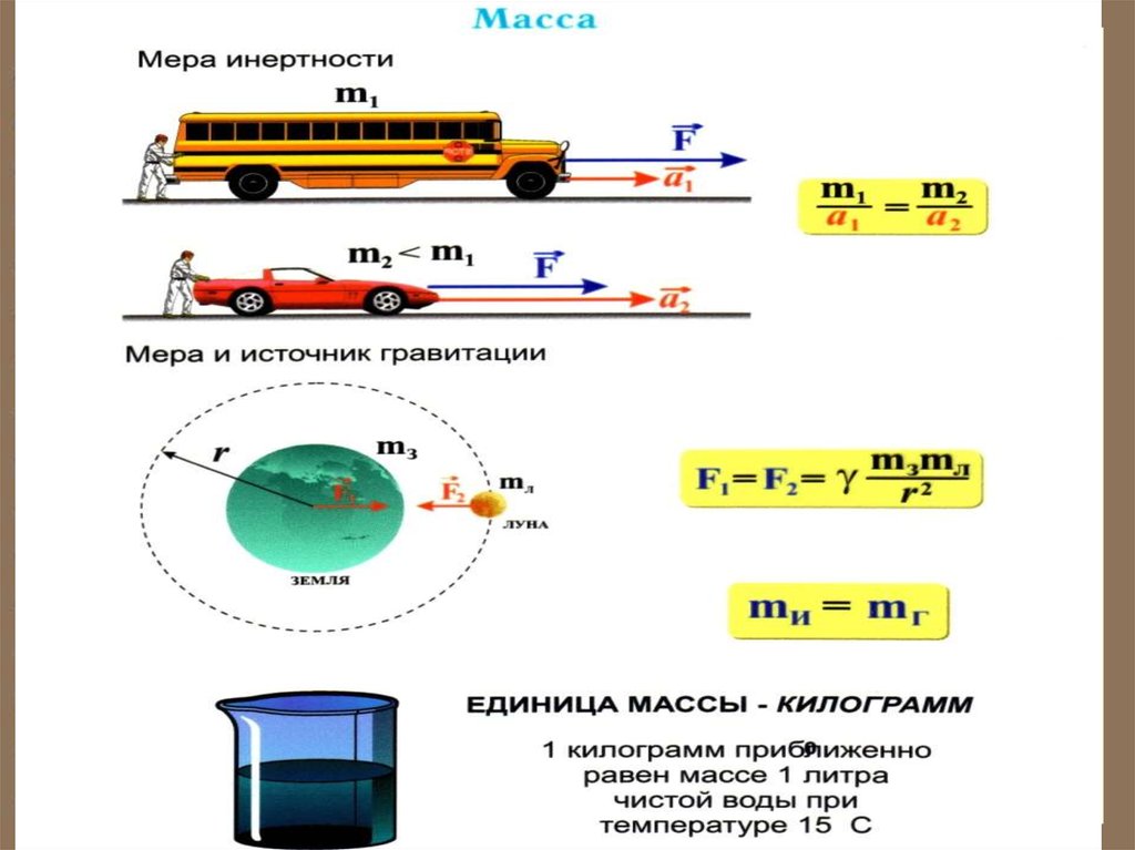 Величина вес тела