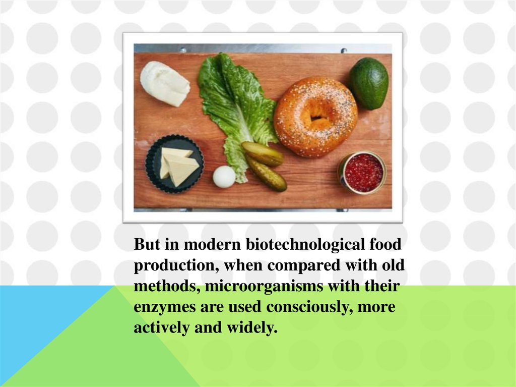 what is biotechnology in food processing