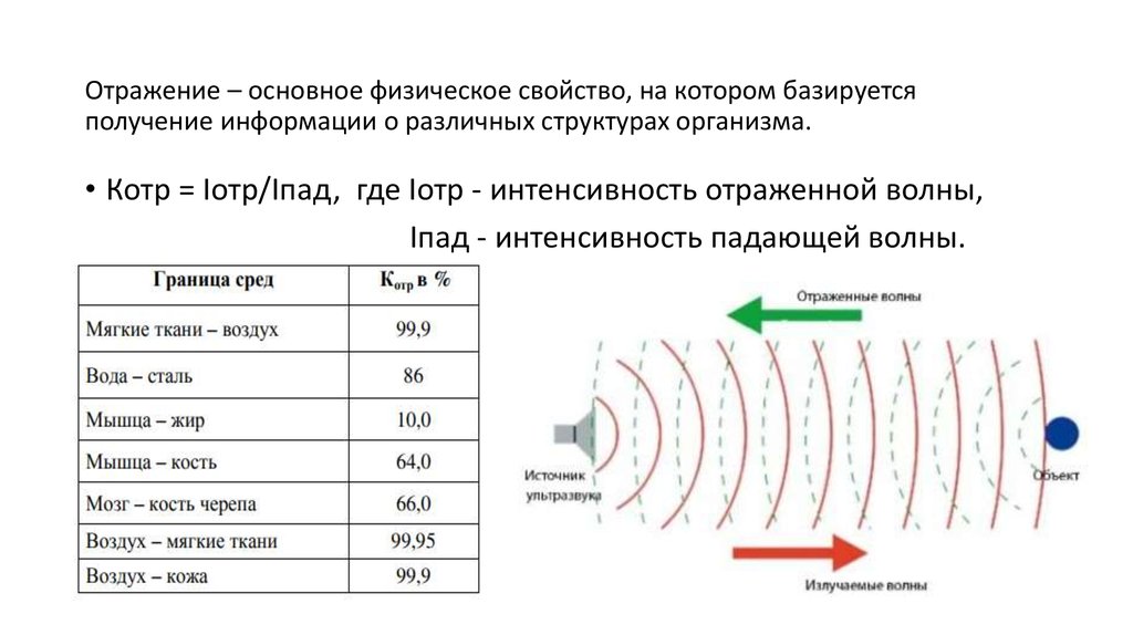 Ультразвуковое исследование в таблицах и схемах