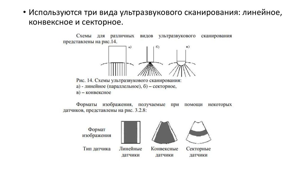 Основная тканевая характеристика ультразвукового изображения