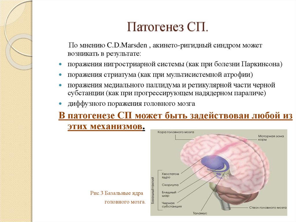 Патогенез болезни паркинсона. Патогенез мультисистемной атрофии. Патогенез паркинсонизма. Болезнь Паркинсона черная субстанция. Синдромы поражения стриатум и паллидум.