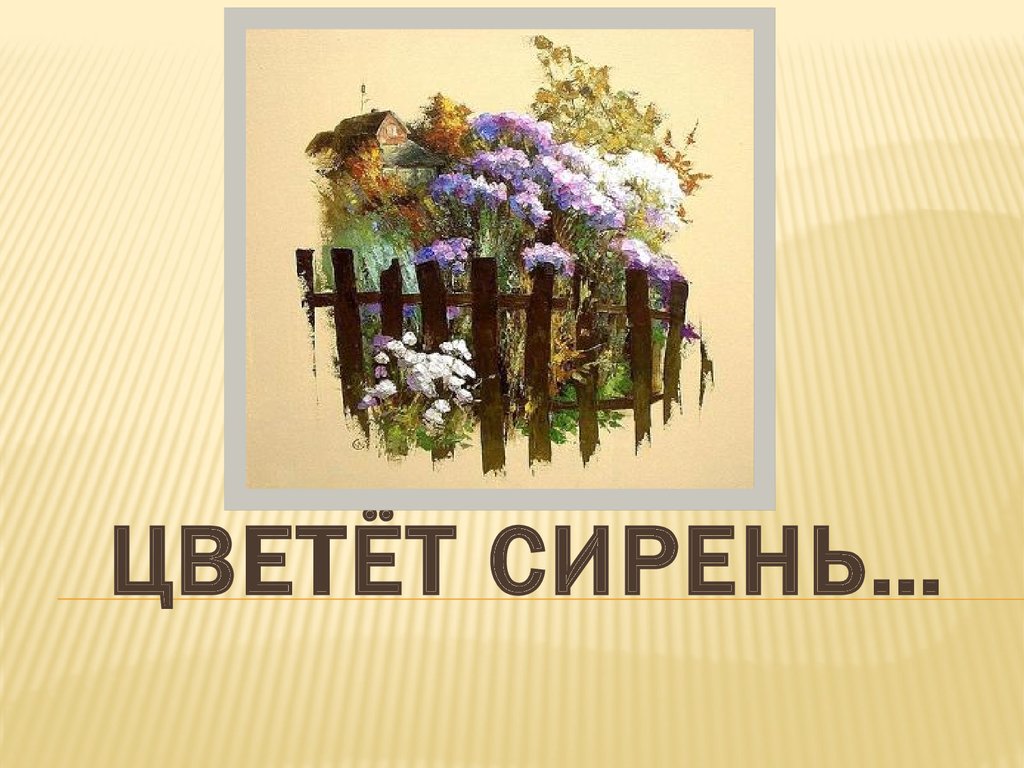 Презентация цветет сирень