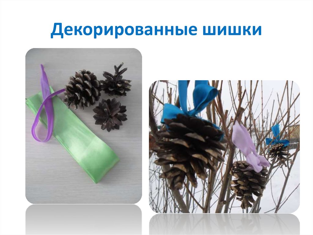 Декорированные шишки