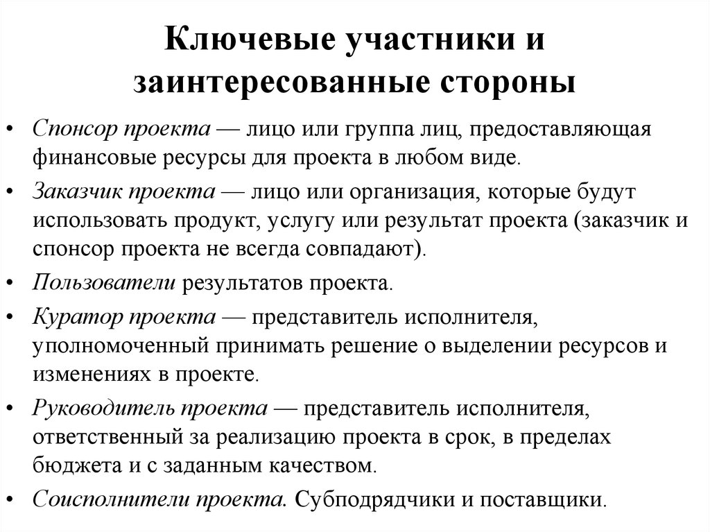 Лицо или группа лиц предоставляющая финансовые ресурсы для проекта называется