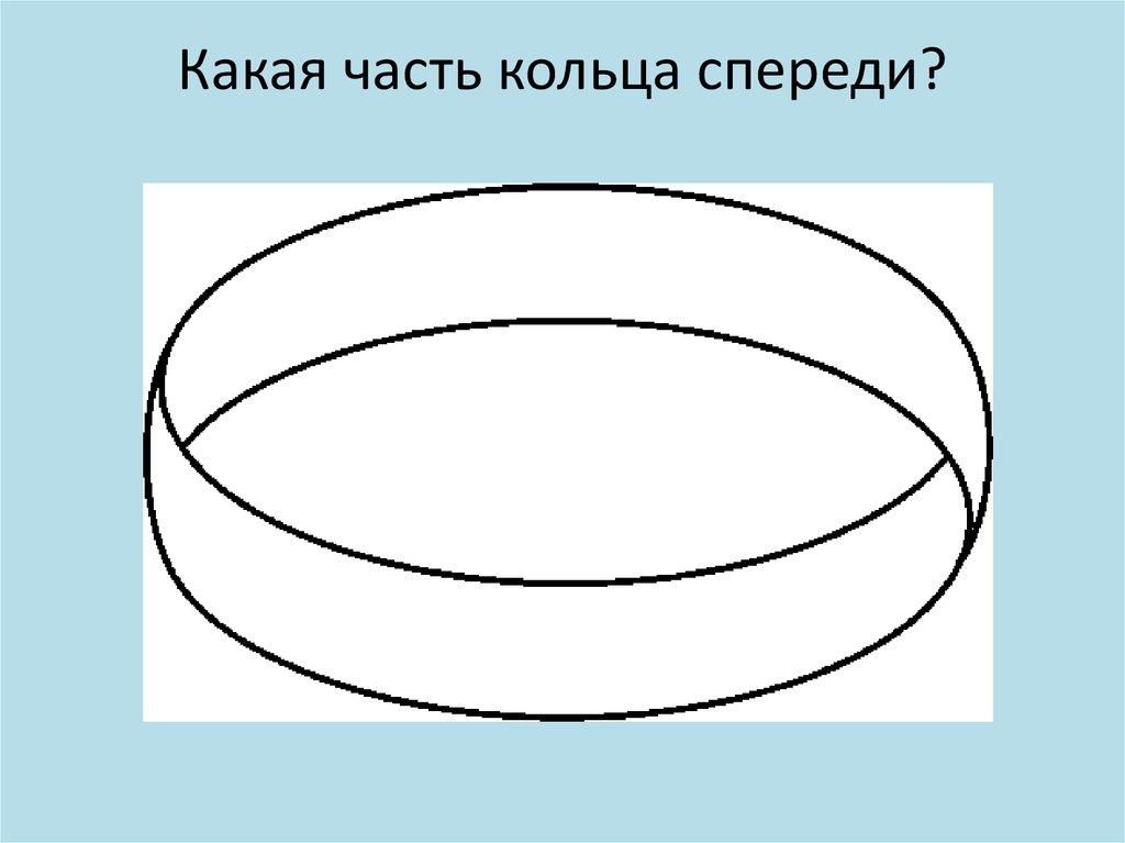 Части кольца. Часть фигуры кольцо. Какая часть прокладки находится спереди.