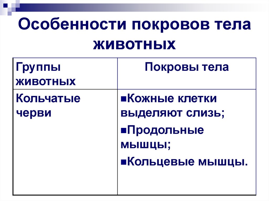 Покровы тела презентация