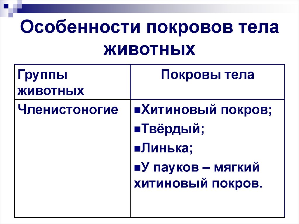 Покровы тела беспозвоночных животных