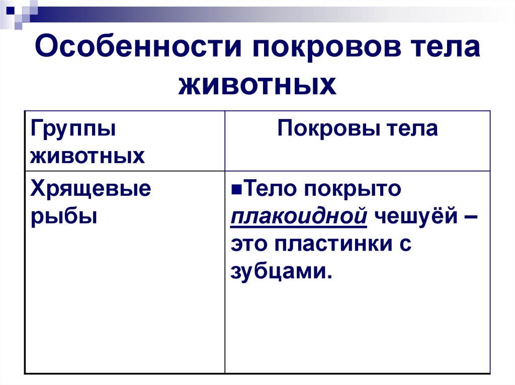 Покровы тела животных 8 класс биология таблица. Особенности покровов тела. Особенности покровов тела животных. Покровы тела хрящевых рыб. Особенности Покрова.