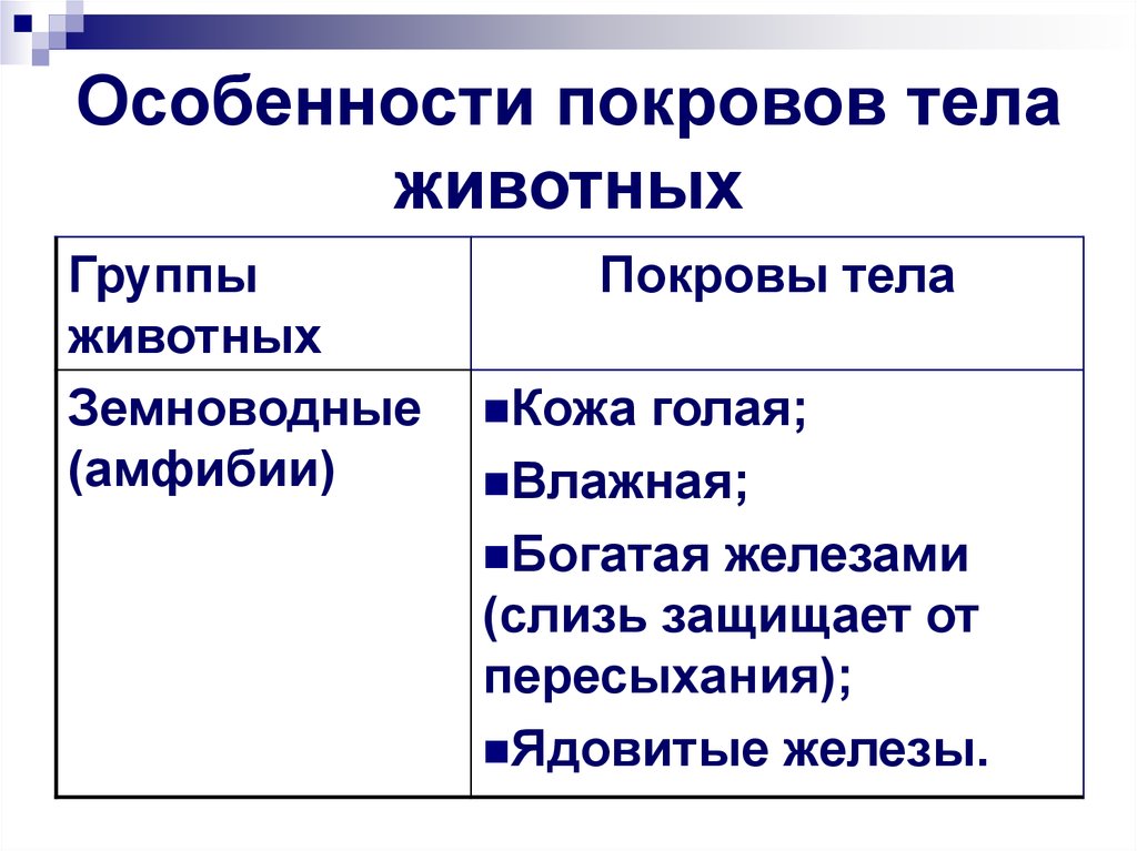 Земноводные покровы тела таблица