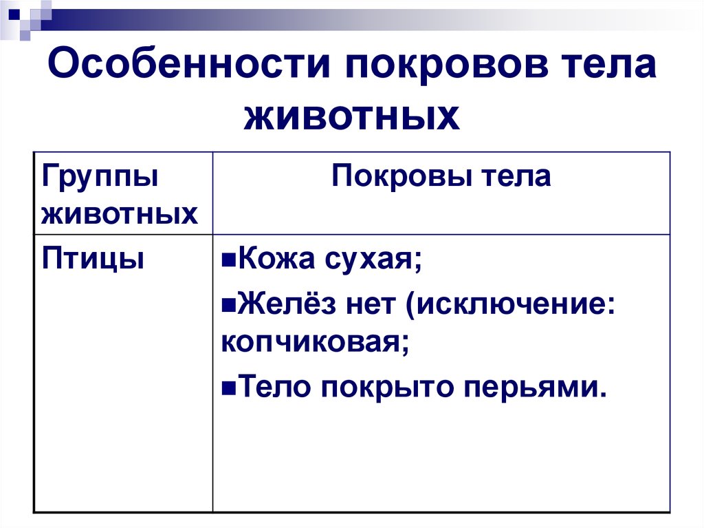 Эволюционные изменения покровов тела животных 7 класс презентация