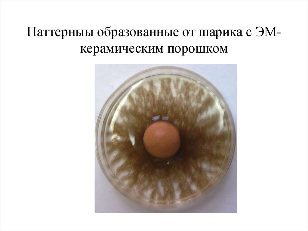 Паттерныы образованные от шарика с ЭМ-керамическим порошком