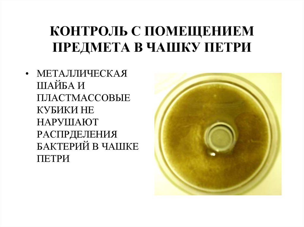 КОНТРОЛЬ С ПОМЕЩЕНИЕМ ПРЕДМЕТА В ЧАШКУ ПЕТРИ