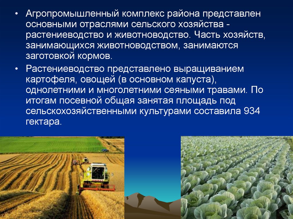 Чем отличается хозяйство. Растениеводство отрасль сельского хозяйства. Экономика сельского хозяйства. Отрасль производства сельское хозяйство. Отрасли растениеводства и животноводства.