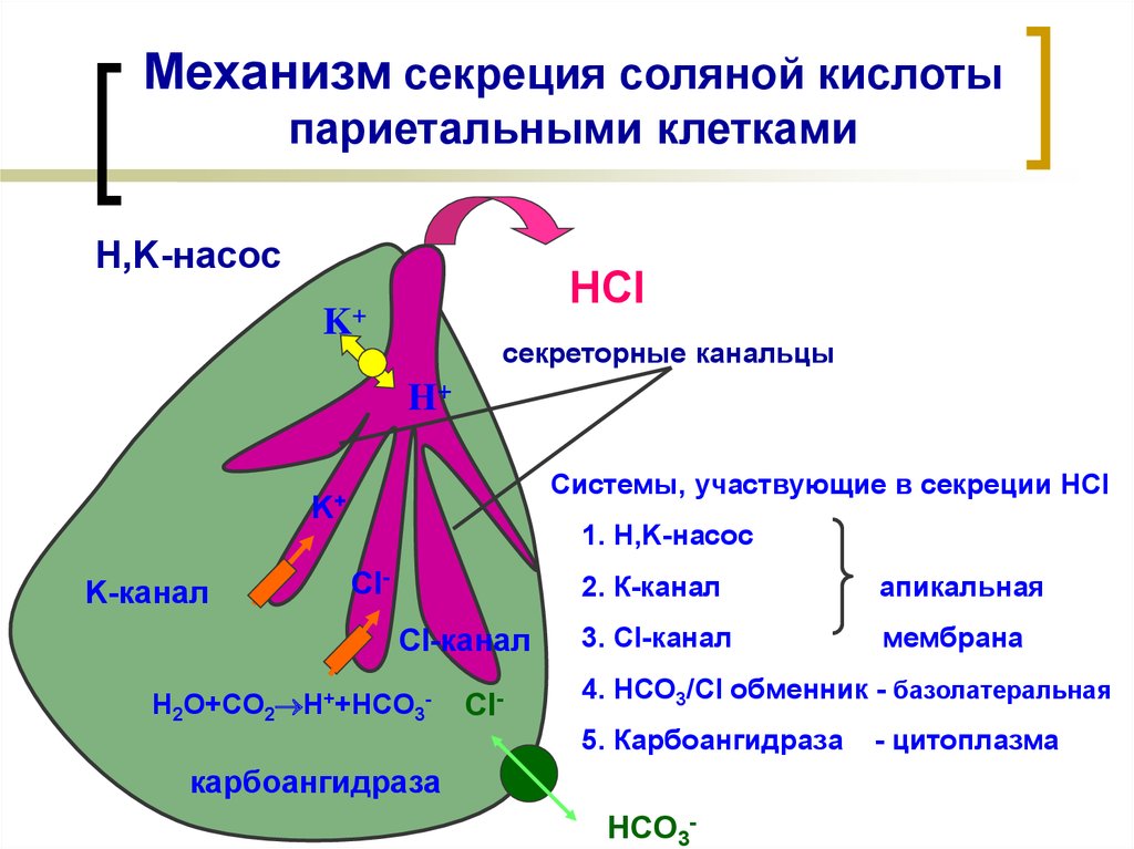 Схема образования соляной кислоты