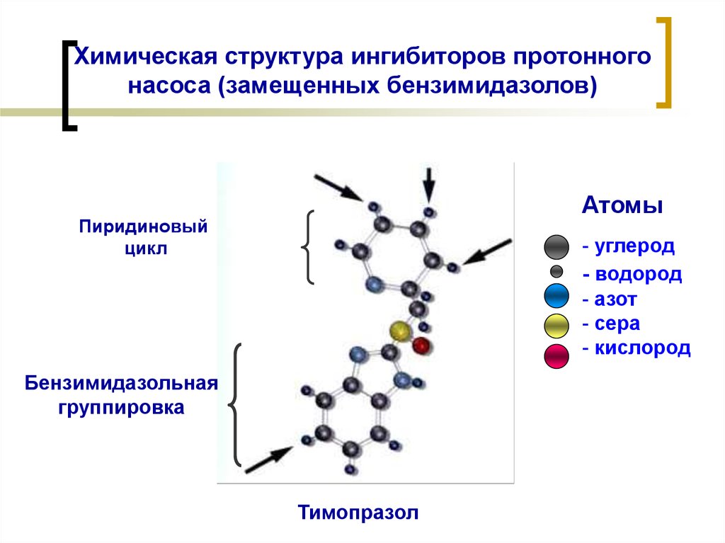 Протонный градиент