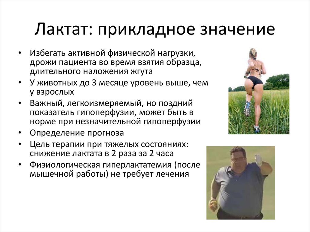 Лактат: прикладное значение