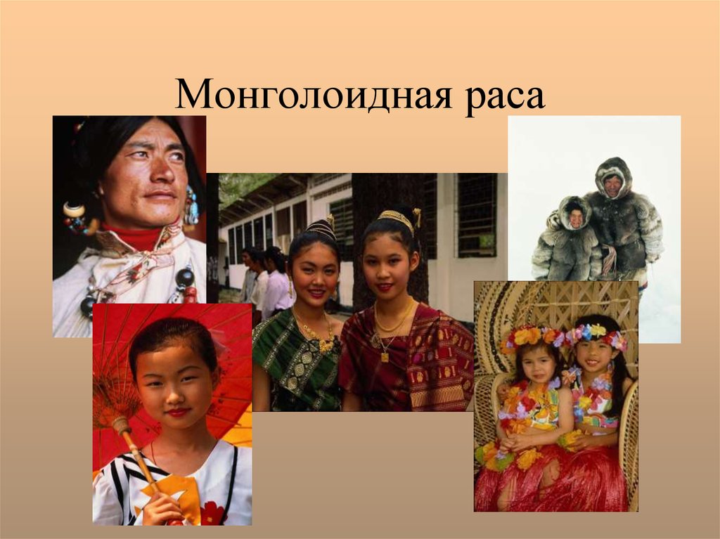 Фото монголоидной расы