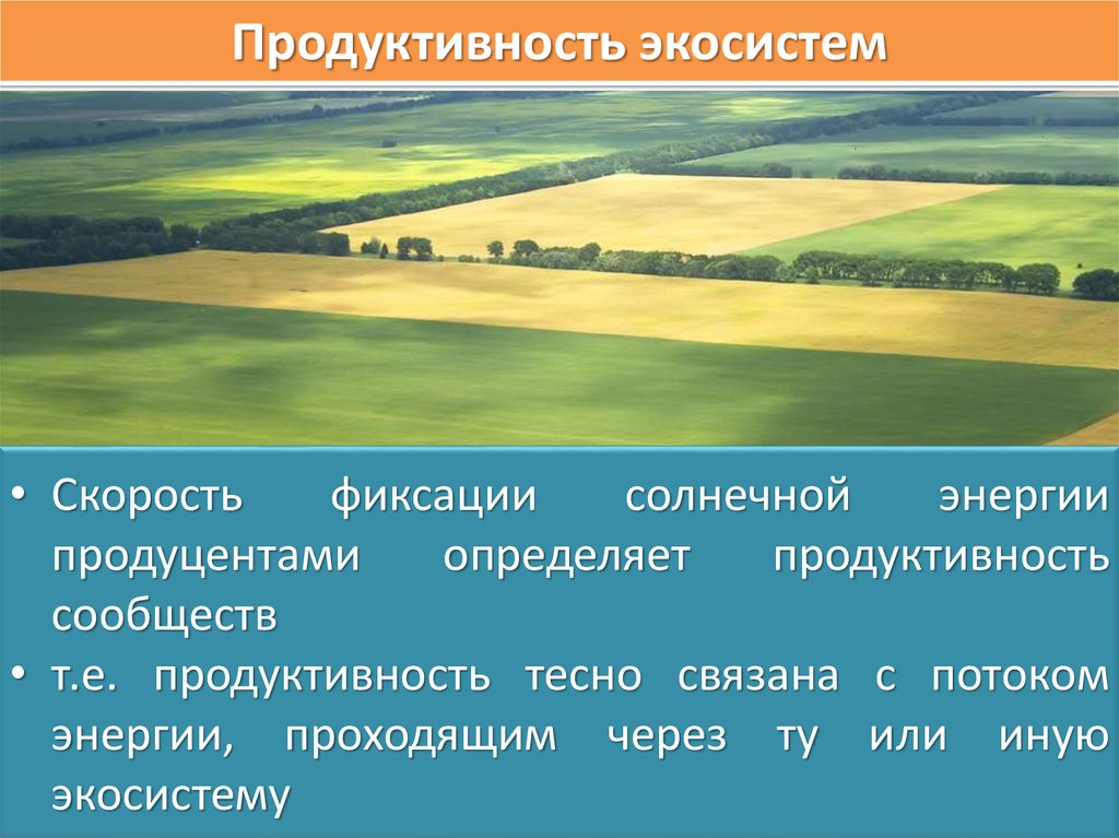 Пути повышения биологической продуктивности в искусственных экосистемах презентация