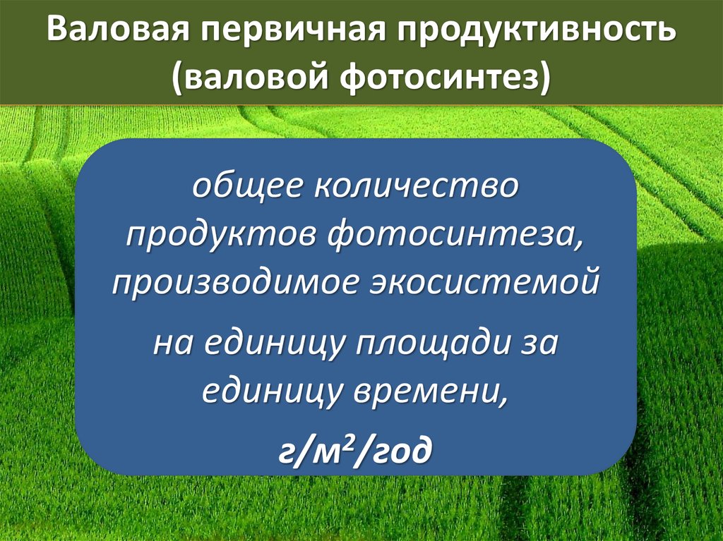 Первичная продукция. Валовая первичная продукция экосистемы. Валовая продуктивность экосистемы. Валовая первичная продуктивность экосистемы это. Продуктивность экосистем презентация по биологии.