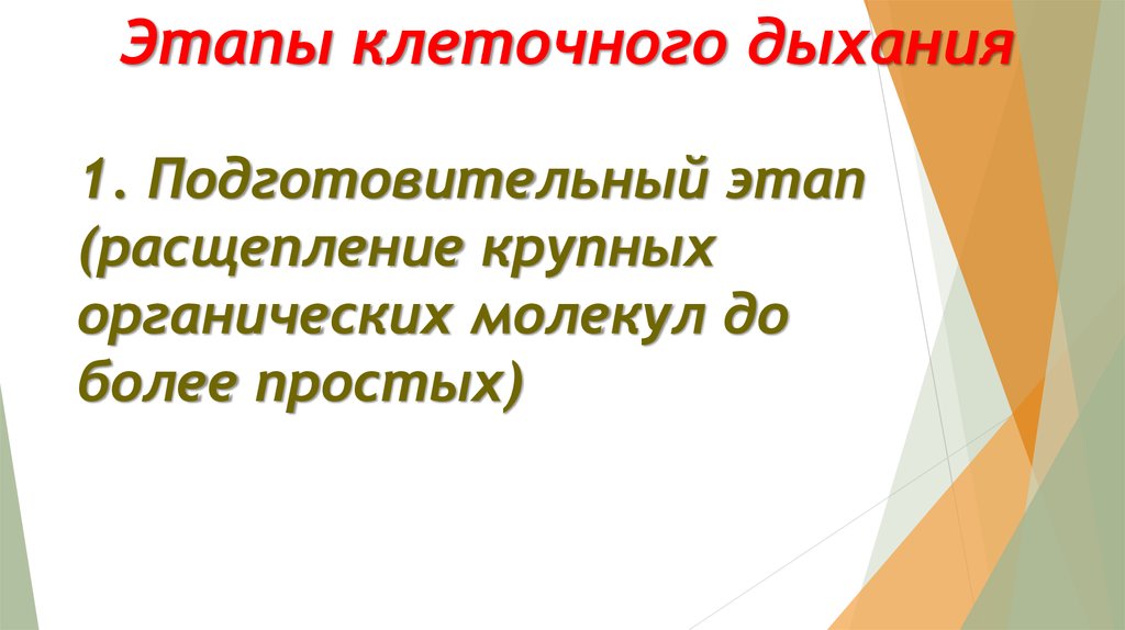 Подготовительный этап клеточного дыхания. Этапы клеточного дыхания.