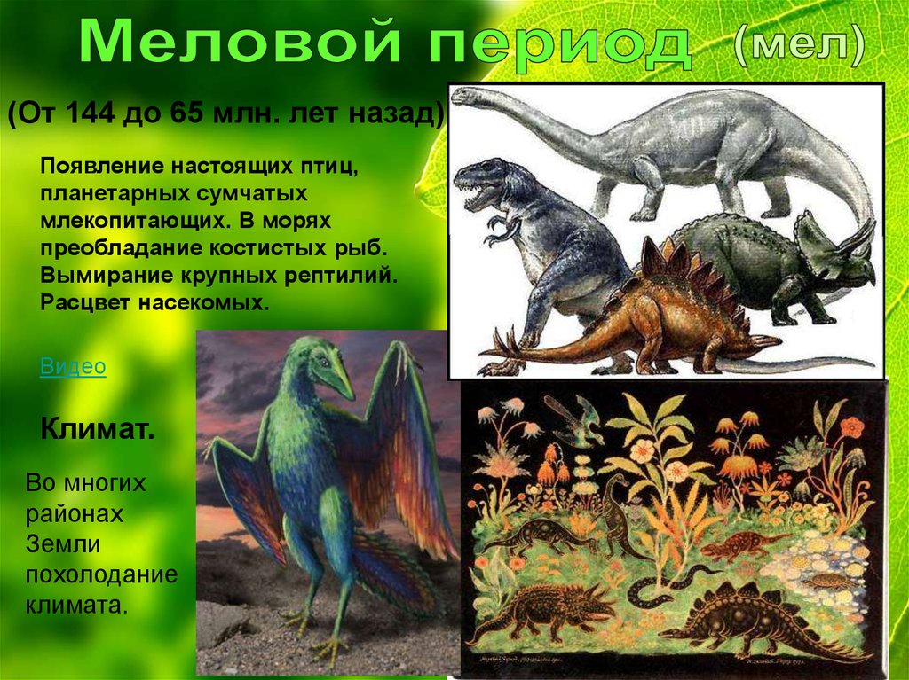 Появление динозавров эра. Меловой период мезозойской эры. Мезозойская Эра мел животный мир. Мезозой Юрский. Мезозойская Эра мел таблица.