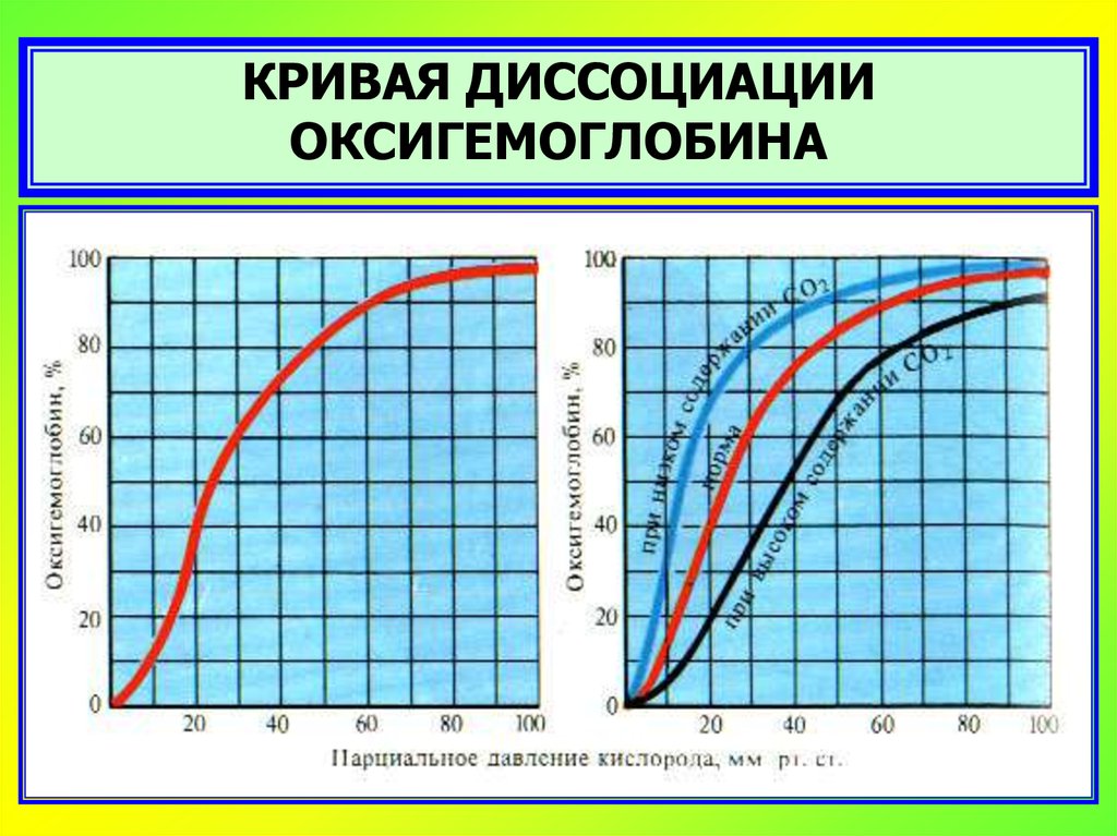 Диссоциация оксигемоглобина